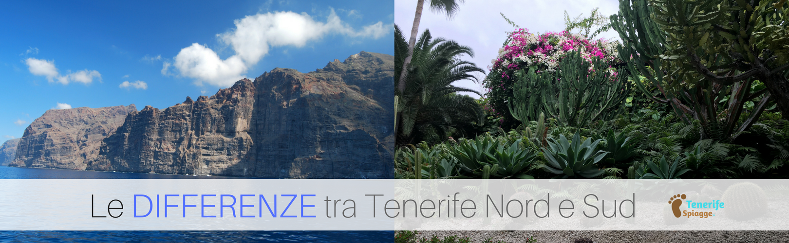 Tenerife Spiagge